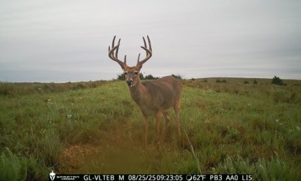 Before velvet and after velvet photos of this super nice 10 point