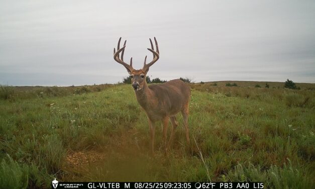 Before velvet and after velvet photos of this super nice 10 point