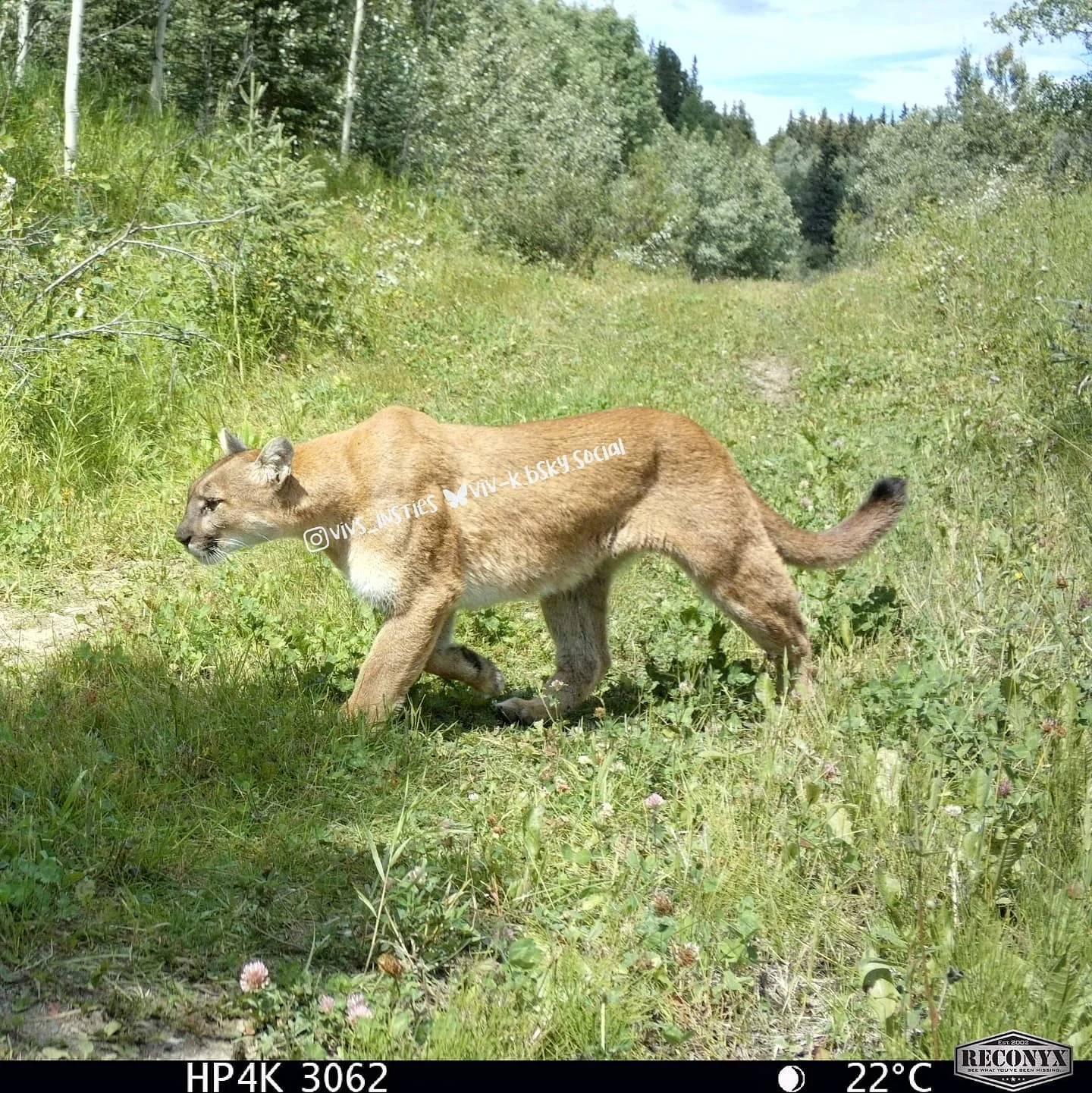 They only passed one camera on their way through, but thankfully