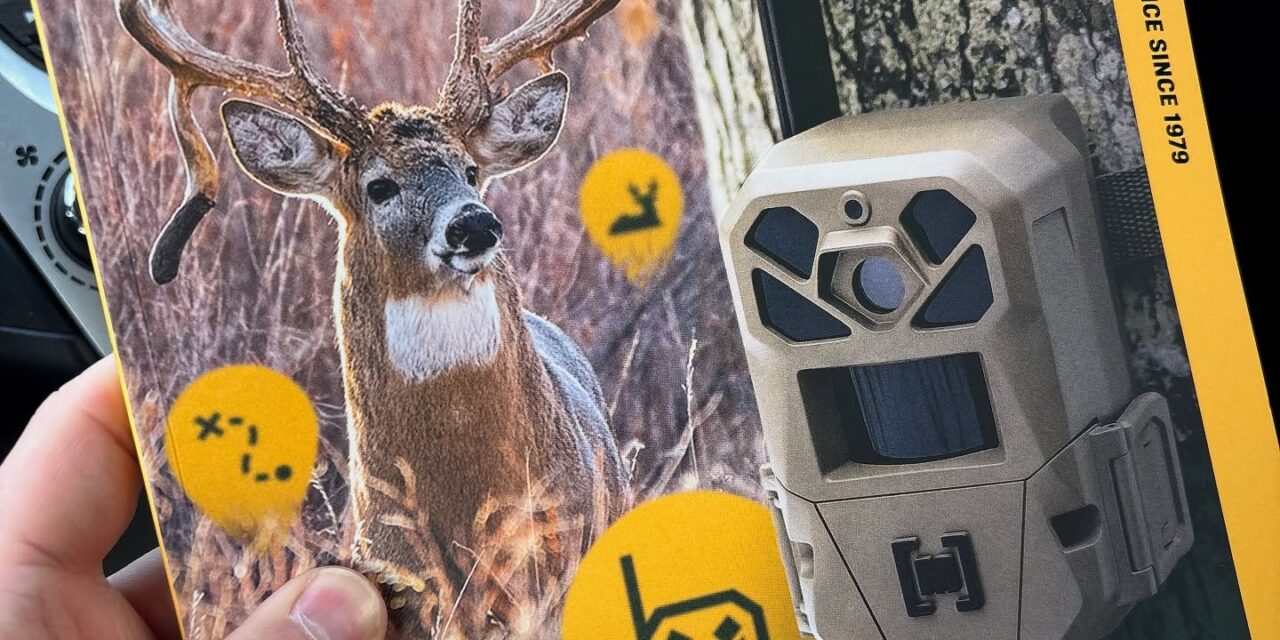 Stopped at Walmart last week and picked up a copy of the new  mag