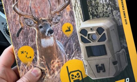 Stopped at Walmart last week and picked up a copy of the new  mag