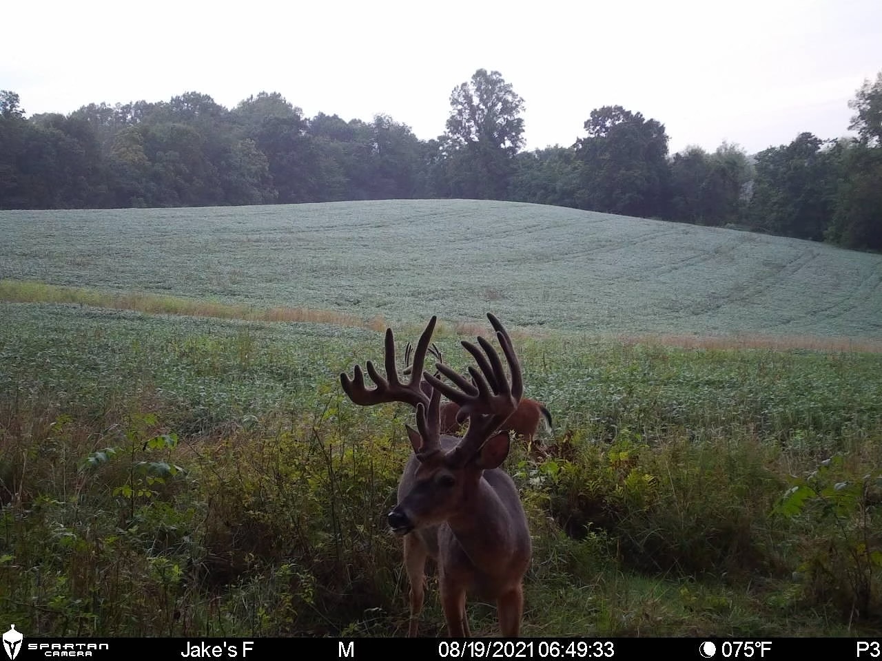 to this mega giant