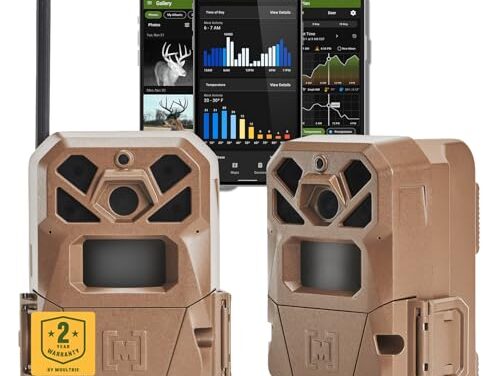 How to Set Our Deer Trail Camera for Peak Buck Action