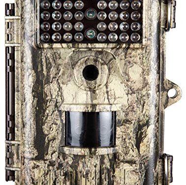 We Test Deer Cameras: Bushnell Trophy vs Browning Strike