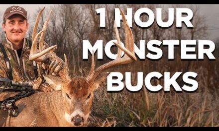 1 Hour of The Best Deer Hunts from Monster Bucks 21 | Giant Whitetail Deer Hunts