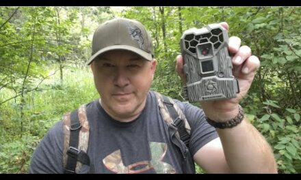 10 Tips to keeping your trail cameras from getting stolen on public land.