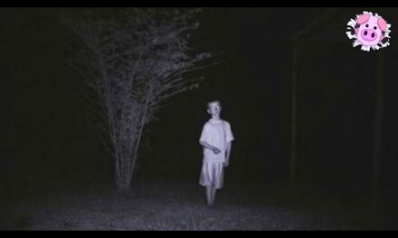 12 REAL Creepy Trail Cam Photos You Have to See!
