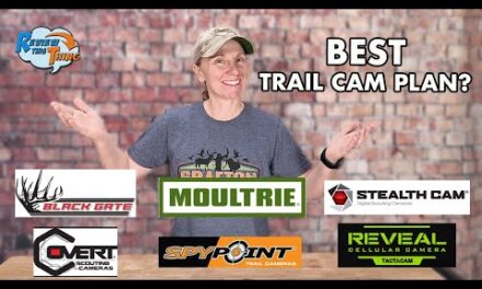 2025 Top Trail Camera Plan Comparison: What's Best for You?