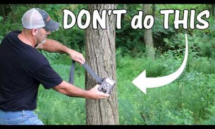 3 Setup MISTAKES (Never do THIS): Trail Camera Placement Tips for Best Results