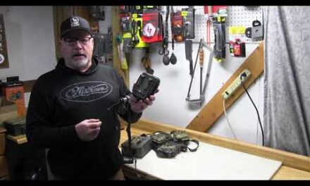 3 Ways to Protect Trail Cameras from Thieves