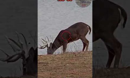 .30-06💥👊🏽PUNCHES | Deer Hunting #texas #viral #caceria #deerhunting #shooting #gunops #scopecam