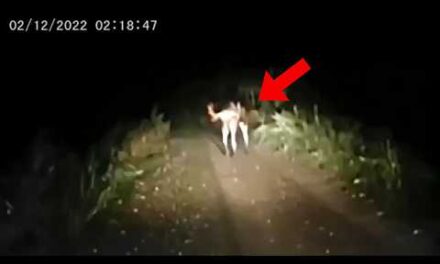 30 Most Disturbing Trail Cam Videos No One Saw Coming