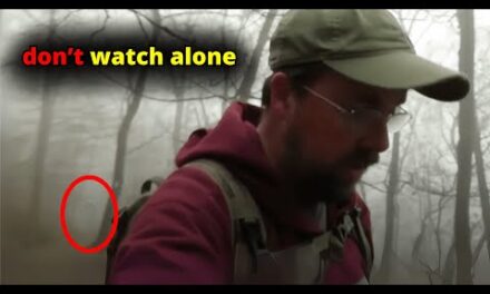 30 SCARIEST Trail Encounters Caught In The Appalachians | Scary Comp V254