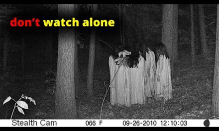 30 SCARIEST Trail Encounters Caught In The Woods | Scary Comp V245