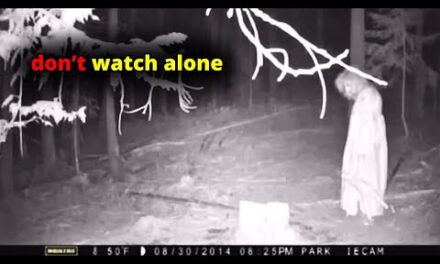31 SCARIEST Trail Encounters Caught In The Woods | Scary Comp V280