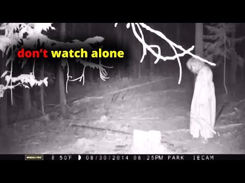 31 SCARIEST Trail Encounters Caught In The Woods | Scary Comp V280