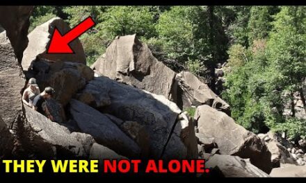 32 SCARIEST Trail Encounters Caught While Camping | Scary Comp V289