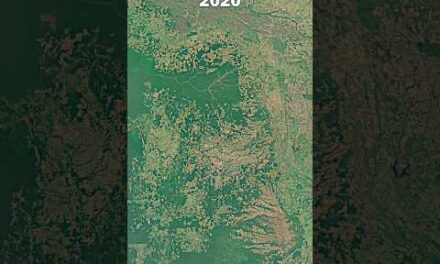 36 Year In 10 Seconds – The Amazon Rainforest Timelapse