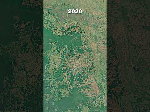 36 Year In 10 Seconds – The Amazon Rainforest Timelapse
