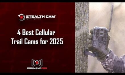 4 Best Cellular Trail Cams for 2025