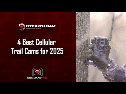 4 Best Cellular Trail Cams for 2025