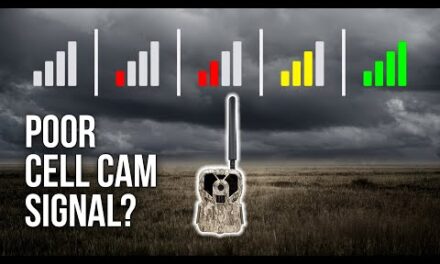 4 Things You Didn't Know that Affect Your Cell Cam Signal