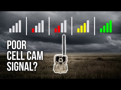4 Things You Didn't Know that Affect Your Cell Cam Signal