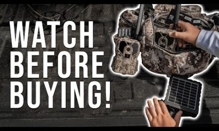 6 Things to Understand Before Buying Cell Cameras