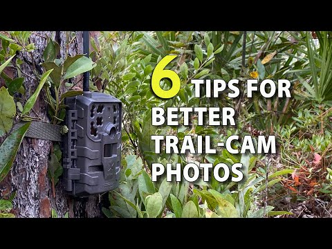 6 Tips for Trail-Camera Setup to Get More & Better Deer Photos