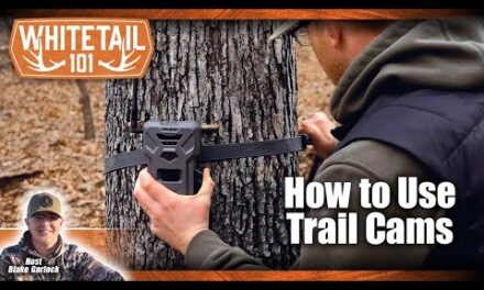A Beginner’s Guide to Using Your Trail Camera
