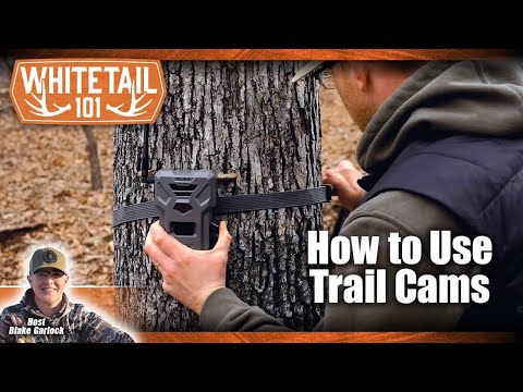 A Beginner’s Guide to Using Your Trail Camera