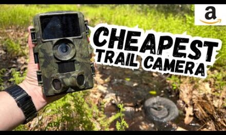 Amazons CHEAPEST Trail Camera – Worth It?!