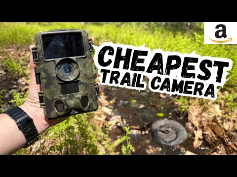 Amazons CHEAPEST Trail Camera – Worth It?!