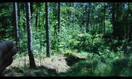 Avoiding Trail Cameras