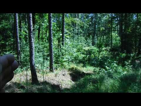 Avoiding Trail Cameras