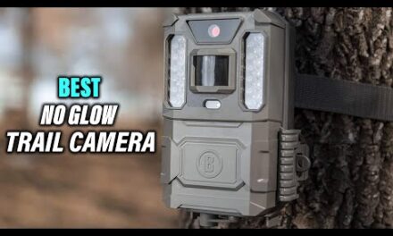 Best No Glow Trail Camera for Wildlife Monitoring Hunting in 2023 – Top 5 Review