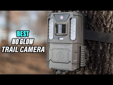Best No Glow Trail Camera for Wildlife Monitoring Hunting in 2023 – Top 5 Review