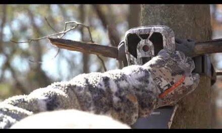 Best Trail Cam Location Setup Strategy