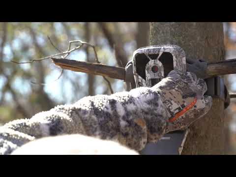 Best Trail Cam Location Setup Strategy