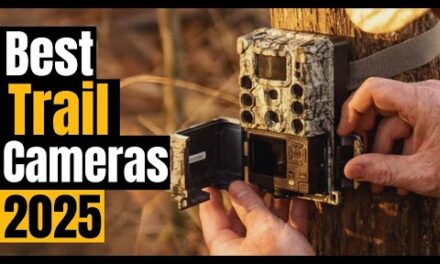 Best Trail Cameras 2025: For Hunters, Nature Lovers, & Backyard Enthusiasts