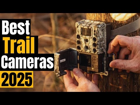 Best Trail Cameras 2025: For Hunters, Nature Lovers, & Backyard Enthusiasts