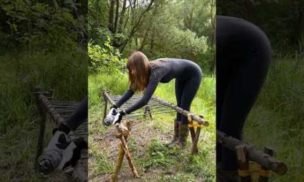 Building the Ultimate Forest Bed for Camping