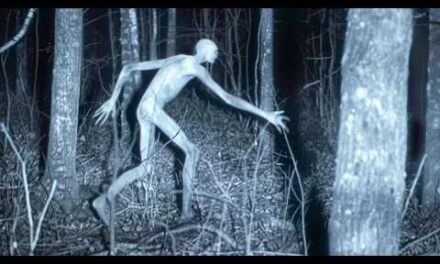 Disturbing Creatures Caught On Trail Cams In 2024