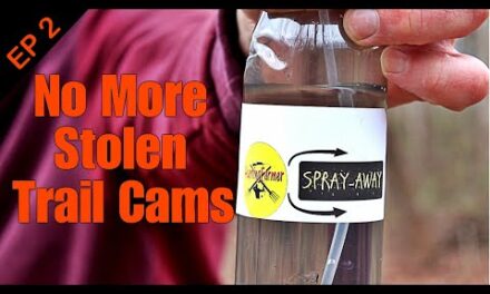 EP 2 Tips, Tricks, and Techniques: KEEP YOUR TRAIL CAM FROM BEING STOLEN!!