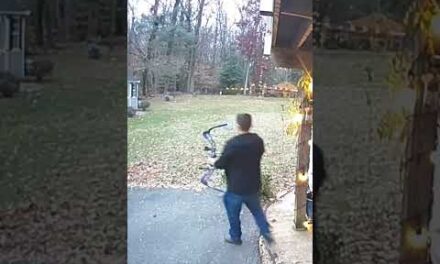 😮 Talk About Backyard Hunting (HUGE BUCK) #shorts #hunting #deerhunting #deer