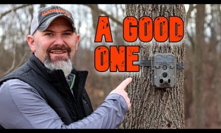 GardePro A60 Non-Cellular 4K Trail Camera Review: Upgrade Comparisions and Sample Videos