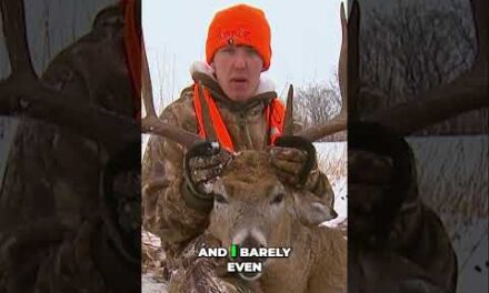 Giant Buck's Antler Falls Off! Crazy Deer Hunting Story