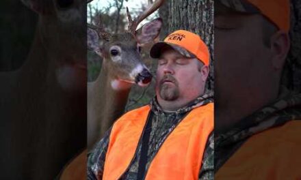 Has this happened to you? #deer #hunting #buck #outdoors #wildlife #funny #humor #surprise #hunt #ai