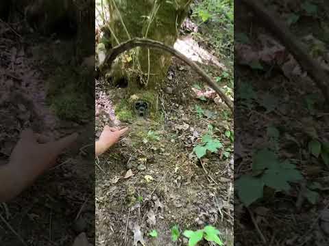 Hiding cameras on the PUBLIC LAND| subscribe to see more video coming soon! #hunting