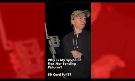How to Fix Your Spypoint Flex! (If It Stops Sending Pictures)